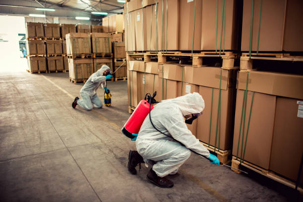 Pest Prevention Services in St Peters, MO