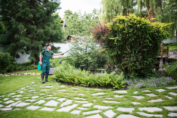 Best Affordable Pest Control Services  in St Peters, MO