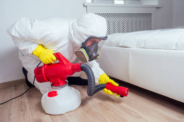 Professional Pest Control in St Peters, MO