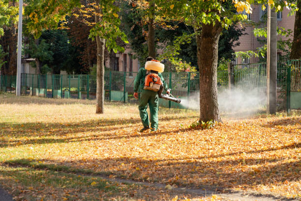 Pest Control Cost in St Peters, MO